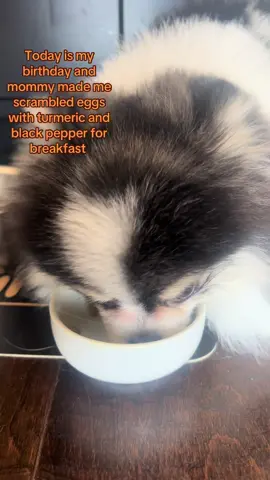 I feel so #loved my mommy treats me really well dad says i am spoiled whatever that means i am #mommysbaby i am also a big boy today i am 1 year old or 365 days does this #food look yummy? #asmr 
