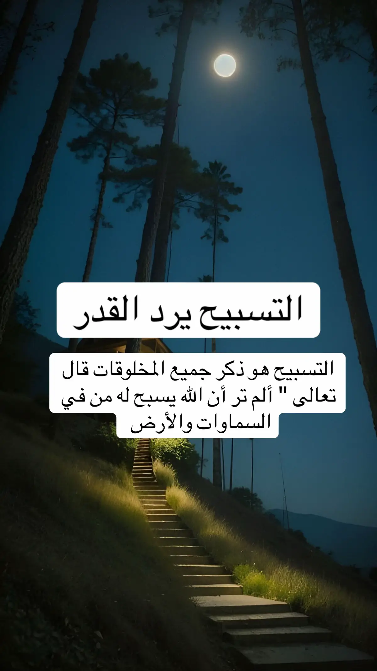 #سورة_البقرة #سورة_الكهف #قيام_الليل #التوبه_الي_الله #حسن_الظن_بالله #الصلاة_على_النبى #اليقين_بالله_يصنع_العجائب #الايمان #اليقين_بالله_يصنع_العجائب #الحوقلة #عجائب_الاستغفار #عجائب_الاستغفار #الجمعة #التسبيح_والاسغفار #سورة_البقرة #الاذكار #الدعاء_المستجاب #قران #معجزات_القرآن_الكريم #البقرة #لا_حول_ولا_قوة_الا_بالله_الحوائج   