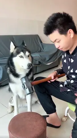 #dog #man #funnydog #fyp #uku 