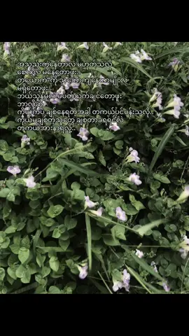 🤞🏻 #foryou #tiktokviral #tiktok #foryoupage #crd #floral 