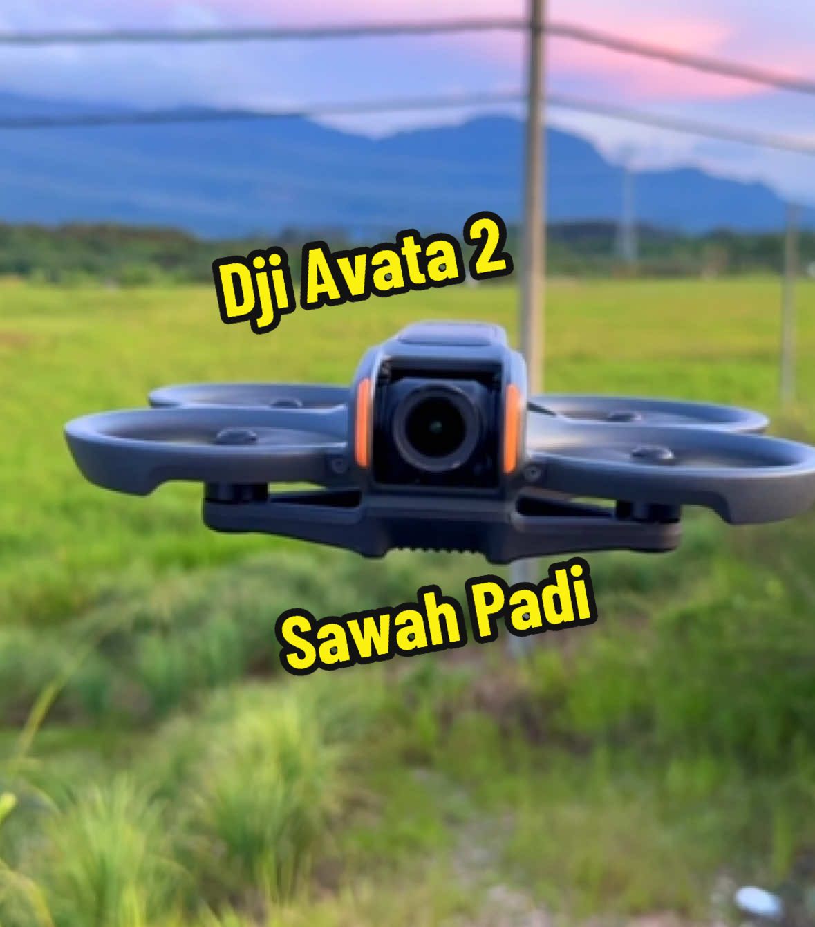 Dji Avata 2 | Sawah Padi | Senja #dji #Avata2 #Sawah 