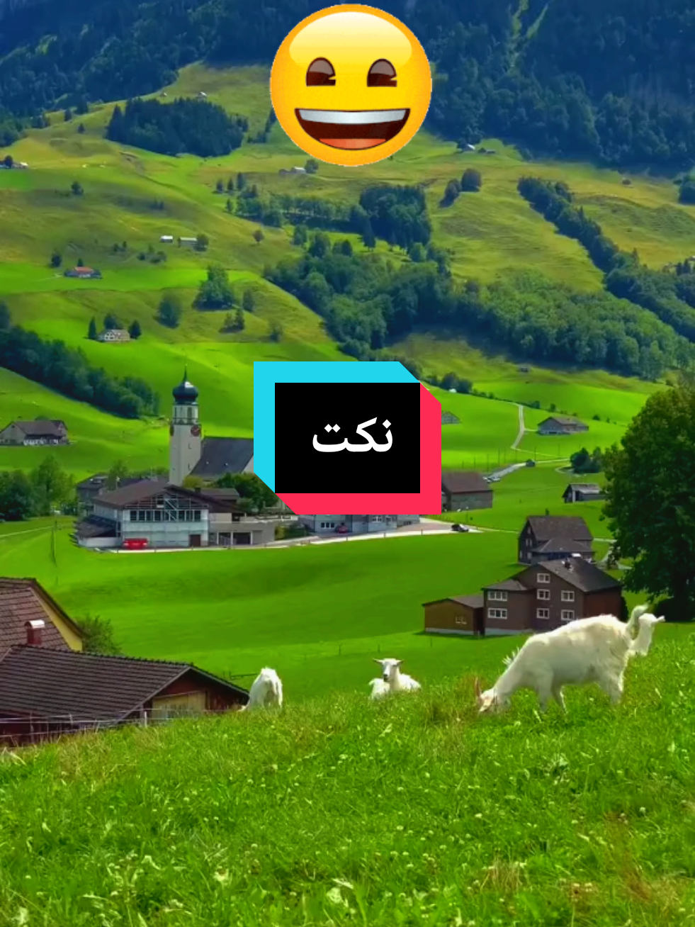funny videos _😂 😂 😂 _ #forypupage #foryou #fypシ゚ #fypviral #explor #you #kuwaittiktokers #سوريين_بتركيا #المانيا_تركيا_سوريا_لبنان_العراق #كويت 