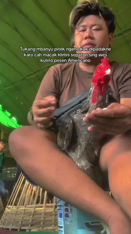 Kalah adoh bosku #fyp 