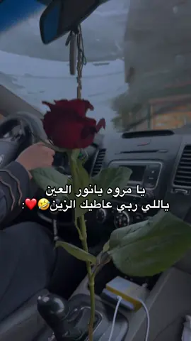 🤣❤️. #fyppppppppppppppppppppppp #fyp #filter #lipsync #ليبيا🇱🇾 