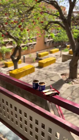 @رُوح بوعيسول 🩶 .  ❤️ #explore #ليبيا🇱🇾 #جامعه_عمر_المختار_البيضاء #كليه_العلوم #CapCut #ويدي_بوضاوي #مالي_خلق_احط_هاشتاقات🧢 #fyp #نسكافي 