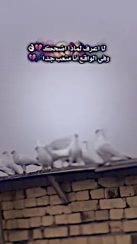 متعب جدا💔😣#صافي #فيديو_ستار 