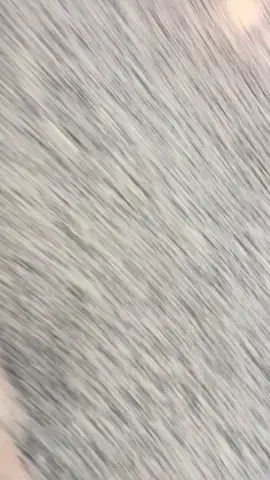 Beautiful Detroit Airport USA 🇺🇸 #travel #view #foryou #airport #flight 