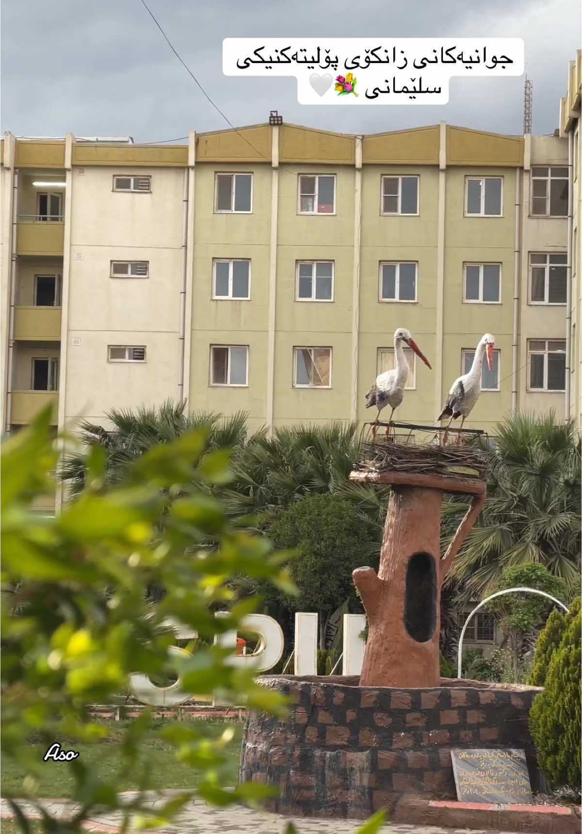 کوان خوێندکارانی زانکۆ.!کوان ئەوانەی یادگاریان لەم زانکۆ هەیە .؟ هاوڕێکانتان تاگ بکەن بڵێن کەی پیاسەیەکی  زانکۆمان پێ ئەکەی .؟ #زانکۆی_پۆلیتەکنیکی_سلێمانی #کۆلێژی_ئەندازیاری #داخلی_چوارچرا #tiktok #i❤️spu #city_planning #foryoupage #plansazi_shar #design #qzh_lul💚 #hawa_aso💚 #kurdistan🇹🇯️ 