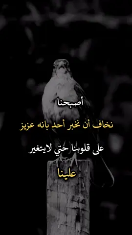 #افضل_عبارة_لها_تثييت #عباراتكم_الفخمه🦋🖤🖇 #عبارات_جميلة_وقويه😉🖤 