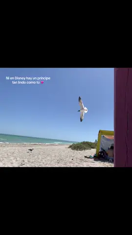 #loamo😍 #enparatii #disney #principe @Carlos Couoh 💘💘