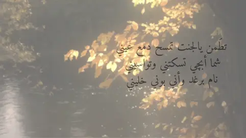 #CapCut #باسم_الكربلائي 