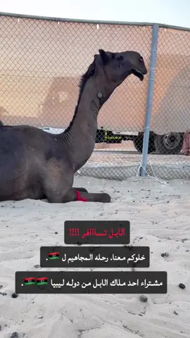 اليوميات على سناب مرحبا بكم.  #اكسبلووووورررر #الصياهد #explore #الصياهد_رماح #اكسبلورexplore #ترند #ليبيا🇱🇾 #بنغازي #بنغازي_ليبيا🇱🇾 #البل #الشعب_الصيني_ماله_حل😂😂 #اكسبلووووورررر #سوق_الاحساء #اكسبلورexplore #الصياهد #explore #الشعب_الصيني_ماله_حل😂😂 