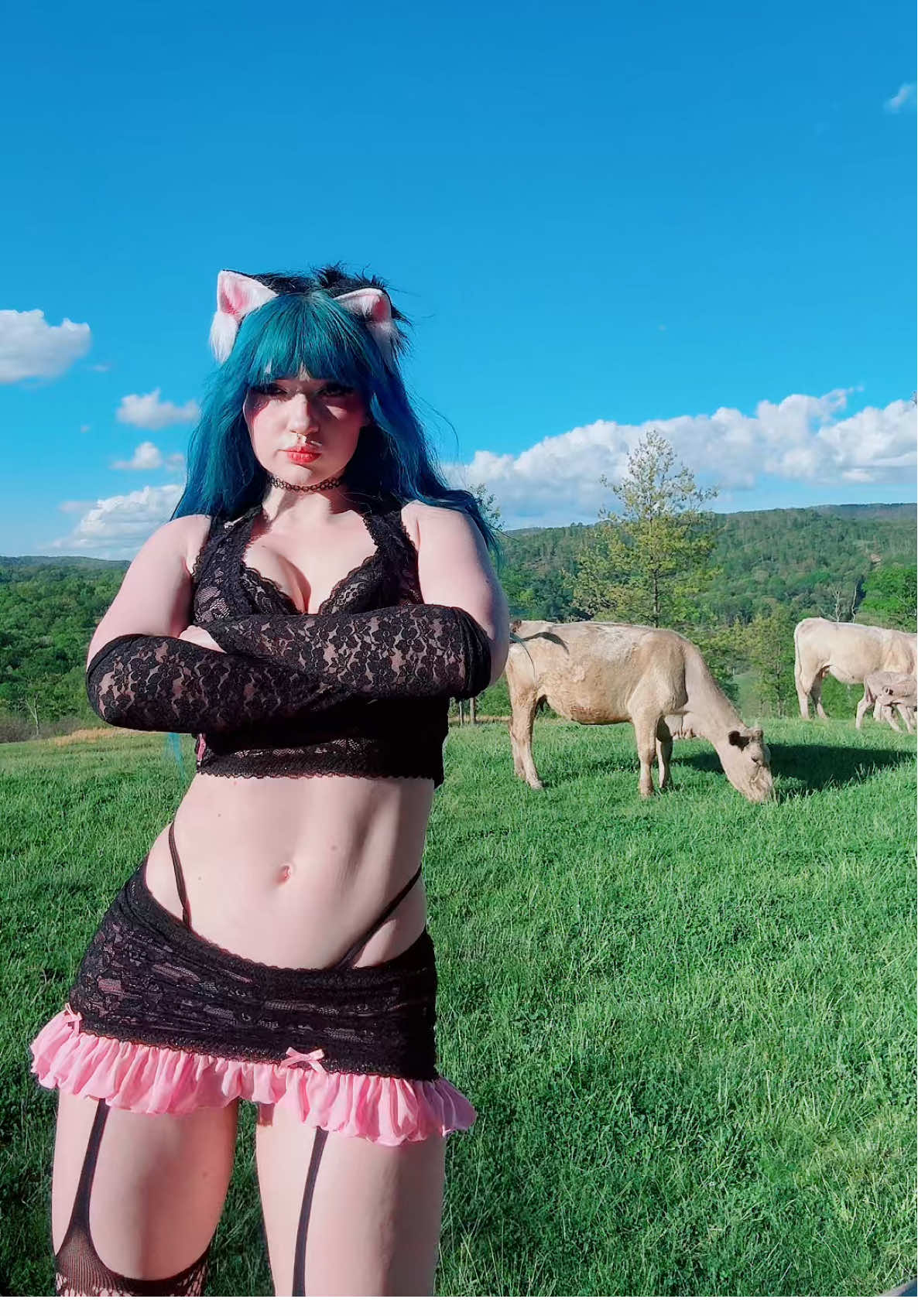 A bunch of cows broke out of their pasture and infiltrated our Airbnb lmao #dance #egirl 