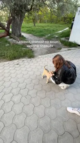 #fyp 