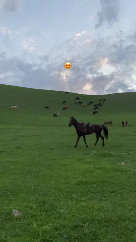 #кыргызстан🇰🇬 #казакстан🇰🇿 #озбекистан🇺🇿 #fyp #❤️‍🔥😍 