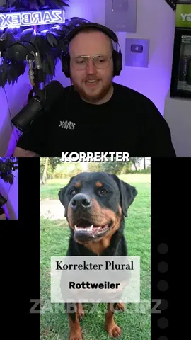 Korrekter Plural #zarbex #zarbexclips #fy @ichbinzarbex