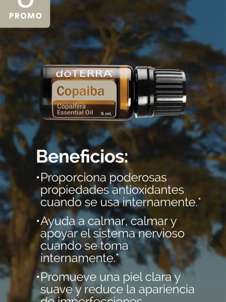 El aceite esencial de copaiba se deriva de la resina del árbol de copaiba, que crece más de 100 pies de altura en la América del Sur. Copaiba ha sido un componente integral en las prácticas de salud tradicionales brasileñas. El Aceite Esencial de Copaiba puede ayudar a calmar los sentimientos de ansiedad cuando se ingiere y promueve una tez clara y suave cuando se aplica tópicamente. Cuando se toma internamente, el aceite esencial de Copaiba también favorece la salud del sistema cardiovascular, inmunológico, digestivo y nervioso. Ayuda a respaldar una respuesta inflamatoria saludable.* Copaiba se puede aplicar directamente en la boca para limpiar y calmar las encías y la cavidad bucal. El Aceite Esencial de Copaiba también es un poderoso antioxidante. Copaiba contiene los niveles más altos de BCP entre los aceites esenciales actualmente conocidos. También influye en múltiples vías de señalización para promover la función saludable del hígado, la digestión, los riñones, el corazón y el cerebro, apoyando el bienestar general. Asi les presento este maravilloso Aceite Esencial si deseas saber más escribeme puedo ayudarte. 