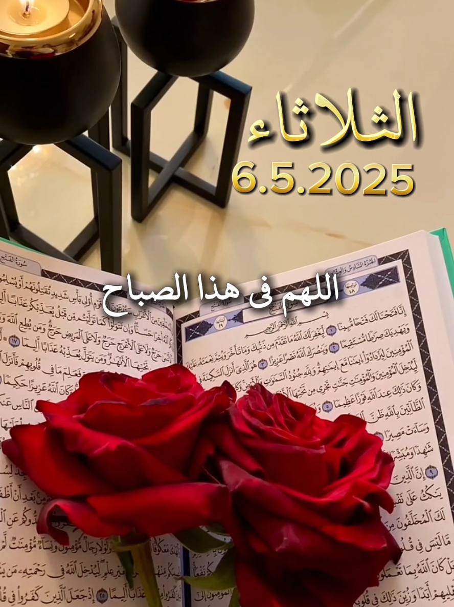 ا#للهم في هذا الصباح #دعاء #صباح #الثلاثاء #دعاء_جميل #اللهم_امين #يارب🤲@بسم الله  #اللهم_امين_يارب_العالمين#دعاء_الصباح #صباح_الخير #اكسبلور #دعاء_يريح_القلوب_ويطمئن_النفوس #دعاء #يوم #الثلاثاء #fyp #صباحيات #muslim #يارب 🤲#foryoupage #fyp # #fypppppppppppppppppppppp #foryoupage #fyp #fyppp ##صباحكم_أحلى_صباح #صباحكم_سعادة_لاتنتهي #صباح_الخير #دعاء_الصباح #دعاء_يريح_القلوب #دعاء #صباح #الثلاثاء #اللهم #امين_يارب #يارب #العالمين @TikTok #اكسبلور @بسم الله @بسم الله 