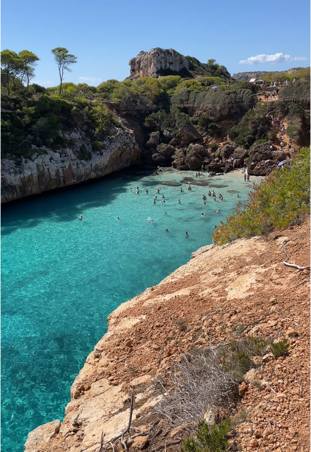 L’art de rêver, mais à Majorque 💙🌴 #mallorca #palmademallorca #baleares #traveltiktok #travellife #majorque #palmademajorque #fyp #mallorcaspain 