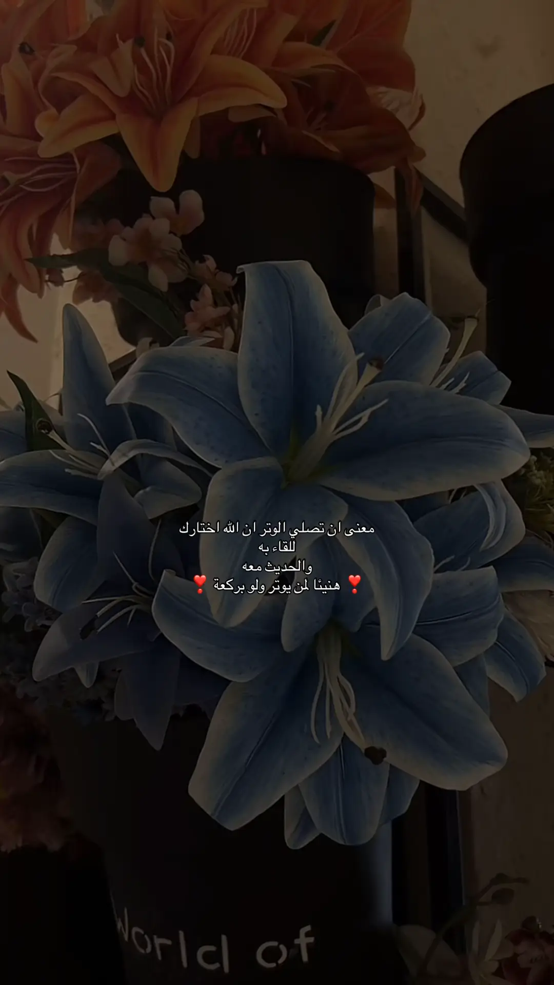 #ليجزيهم_الله_احسن_ماعملو_ويزيدهم_من_فضله #كلنا_راحلون_اللهم_احسن_خاتمتنا #quran #fypシ゚viral #ذكر #ادعيه #stitch #viral  #foryoupage #funny #fo#الحمدلله_دائماً_وابدا #أذكروا_الله_يذكركم #استغفرالله_العظيم_واتوب_اليه 