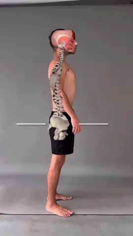 A gentle reminder: posture starts at the pelvis 👣 If your lower back arches too much, focus on core strength and stretching the legs to support your alignment. Consistency is key — your mirror is your friend 🪞 Follow @backpaintransformation for more! Credit: makarin #posture #exercise #gym #backpain #pilates #spinehealth #workout #posturecheck