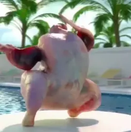 When the chicken and monkey shake it like nobody’s watching… but everyone’s watching! #ShakeToTheMax #DancingDuo #MonkeyMoves #ChickenGroove #FunnyAnimals #ViralVibes #TikTokComedy #AnimalDanceOff #TooMuchSauce #PetParty