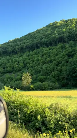 En sevdiğim mevsimler geldiii🥹🥰😍 #bursa #dağlar  #orman #ilkbahar #yaz 