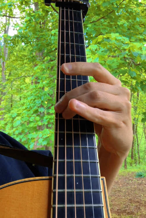 all in my head #computer #midwestemo #acousticguitar #mathrock #guitartok #fyp 