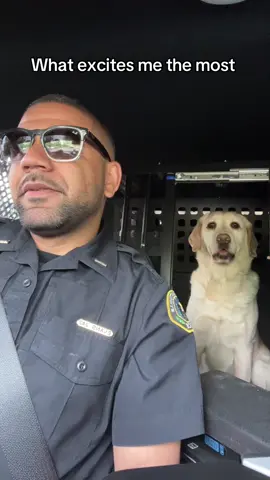 I’m not gonna lie #copsoftiktok #work #mood #DidYouKnow #fyp #k9 #dogsoftiktok 