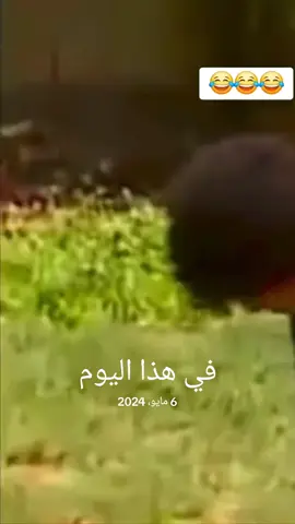 #في هذا اليوم 