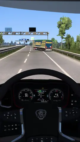 обычный день на дд @man_style_ua #ets #ets2 #truck #truckers #truckersmp #tmp