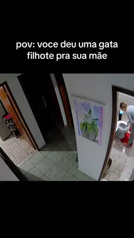 minha mae com o presente de deus dela #catsoftiktok #funny #cattok #fyyyyyyyyyyyyyyyy #fypシ゚ #mommy 