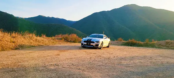 #mustangtiktok #californiaadventure #mustangcar #nature #gt #cartok 