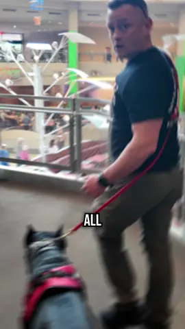 Most dogs yank their owners down the stairs- it’s not good for your dog and definitely not safe for you. Here’s how it should look: calm, controlled, and zero tension. #dogtrainer #leashpulling #dogtrainingfundamentals #DogTraining #puppytraining y #puppytrainer #dogobediencetraining #puppytrain #k9trainer #dogobedience #dogbehavior #dogtrainingtips #DisneyWorld