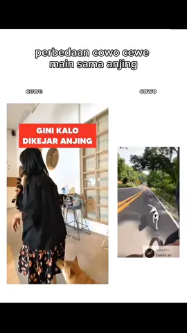 seharusnya perbedaan dikejar ya🗿 #fyp #sepeda #peliharaan #anjing #meme #cowo #cewe #viral 