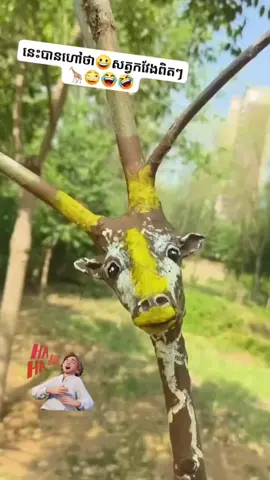#creatorsearchinsights #보이스필터 