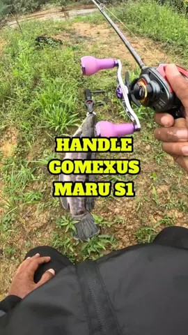 Handle comel boleh berubah warna #castingtoman #toman #fishing #kingcurutz #teamcurutz #gomexus @gomexusmalaysia 