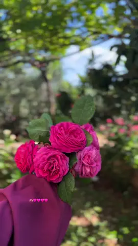 #تصويري📸 
