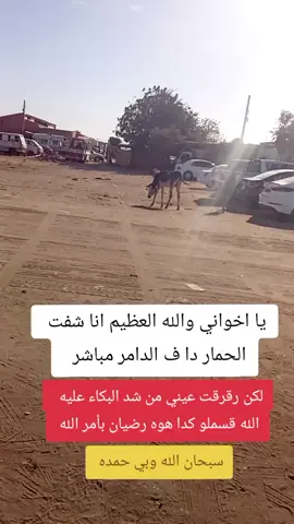 جلا جلاله