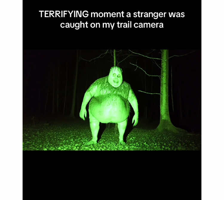 TERRIFYING moment a stranger was caught on my trail camera #fyp #trailcam #caughtoncamera #creepy #scary #creature #strange #weird #trailcamera 