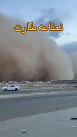 #نعناعه_عاشقة_المستحيل #طارت_طارت_طارت💔 #ethiopian_tik_tok 