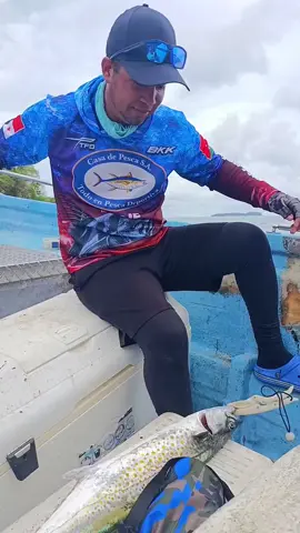 pesca de sierra grande en islas paridas Chiriquí  #fishingtrip #fyp #fishingchiriqui #fishingdaily #fishingpanama #pescachiriqui #pescaesportiva #pescaria #fishingreel #pescapanama #fishingaddict 