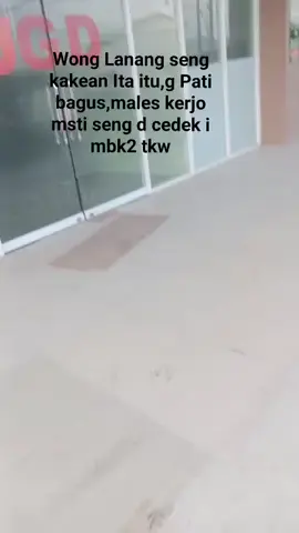 🏃🏃🏃🏃🏃🏃🤣🤣🤣