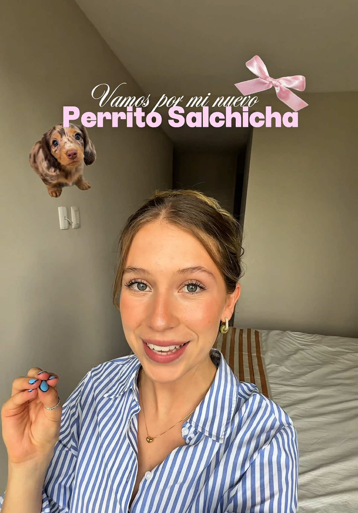 Fue demasiado estresante, les presento a Parley 🎀🐶 que en realidad es de mi hermano, yo solo la cuidaré unas semanas! #dashundpuppy #perrosalchicha #dog #cachorro #cachorrito #cutedogs 