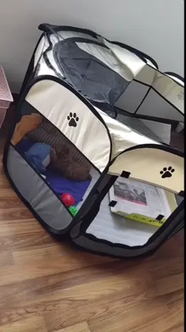 lều cho chó mèo đẻ thể gập lại Ổ Đẻ Cho Thú Cưng #phukiennuoipet #pet #pets #review #xuhuong #dethuong #trending #thucung #dog #cún #dogs #lều #odechothucung #leuchochomeo 