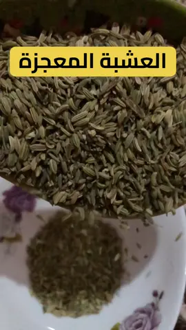 العشبة المعجزة لعلاج جميع الأمراض عشبة طبيعية لها فوائد كثيرة #فوائد_صحية #فوائد_الاعشاب #تغذية_صحية #تغذية_علاجية #نظام_غذائي #علاج_طبيعي #علاج_بالاعشاب #صحة_عامة #صحة_المرأة #اعشاب_طبيعية #طبيعية #التهاب #قولون #قولون_عصبي #قولون_هضمي #السكري #السكري_النوع_الثاني #السكري_النوع_الاول #الكبد_الدهني #الكبد #الروماتيزم #المناعة #طبيب_تيك_توك #طبيب #doctor #doctorsoftiktok #doctorstrange #صلي_علي_النبي #صلوا_على_رسول_الله #fouryourpage #france🇫🇷 #arabe 
