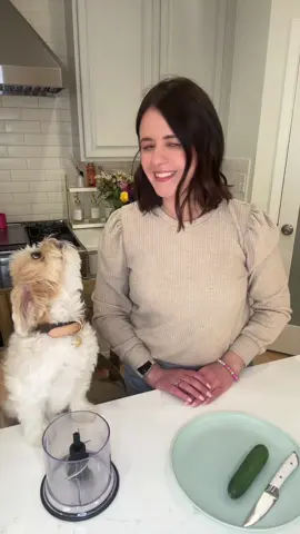 Of course we’re making puppy margaritas. @Native Pet #happycincodemayo #margarita #dog #dogsoftiktok 