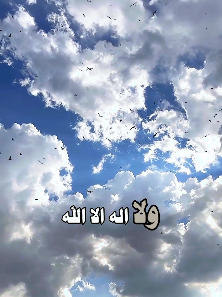 سبحان الله والحمدلله ولا اله الا الله والله اكبر 🤲🏼🌤️🌿