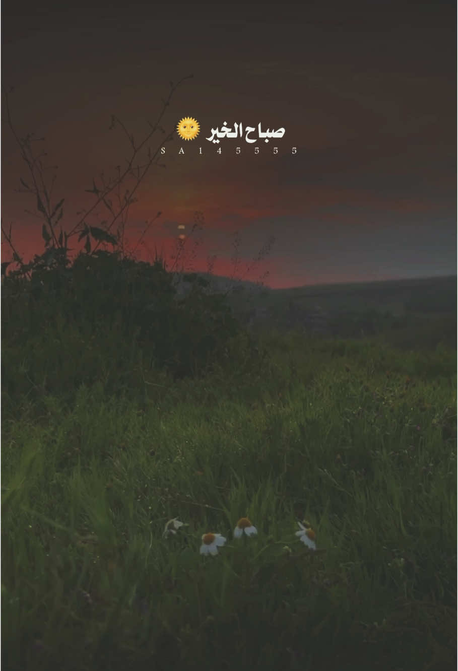 يوم جديد فاستشعروا النعم 🤍🤍 #صباح_الخير #صباحيات #صباحيات_جميلة 