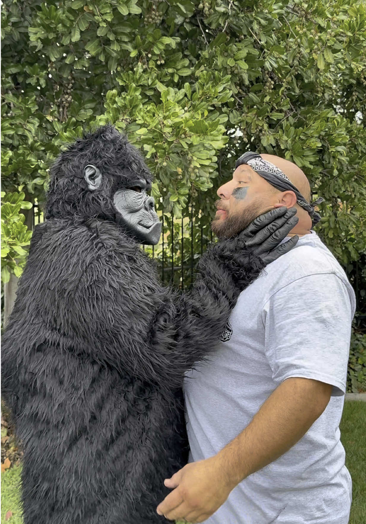 Shoelada Vs. Gorilla 🦍 #shoedoc #shoelada #fz150 #shoecleaner #150bucks #100menvs1gorilla 